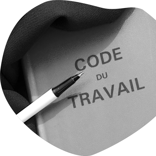 Photo du code dans une forme fluide