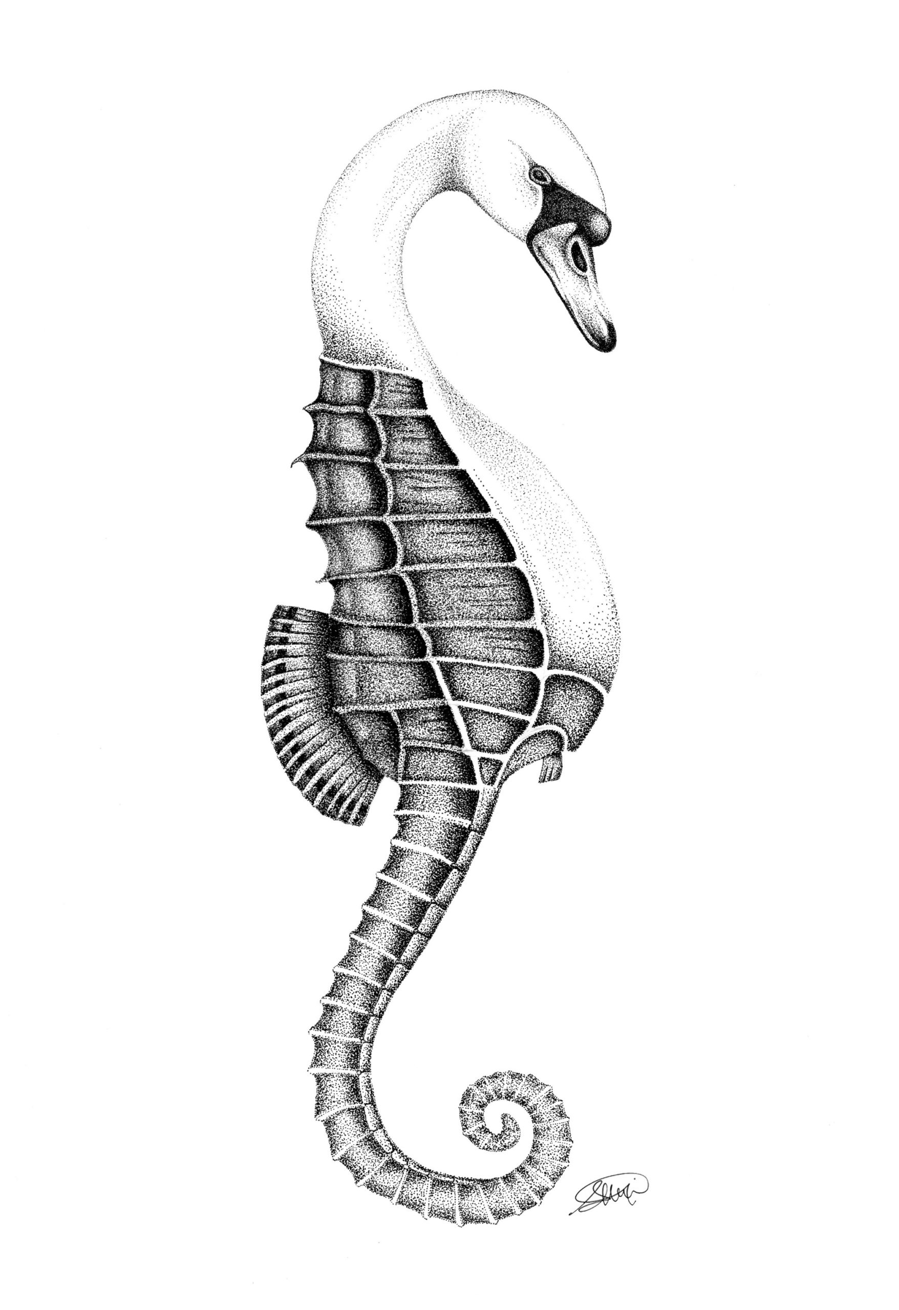 Hippocampe par Atelier Samedi